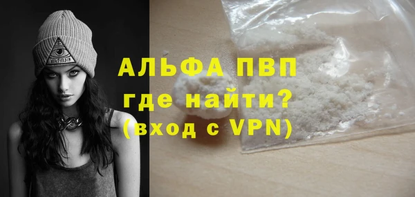 прущие грибы Ладушкин