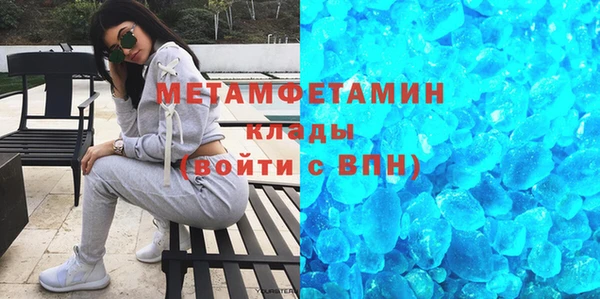 прущие грибы Ладушкин