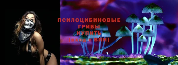 прущие грибы Ладушкин