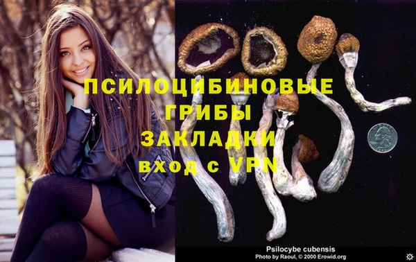 молекула духа Лагань