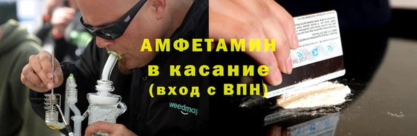 прущие грибы Ладушкин
