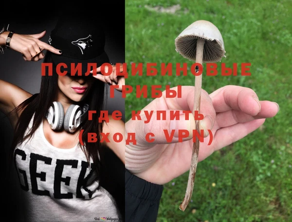 молекула духа Лагань