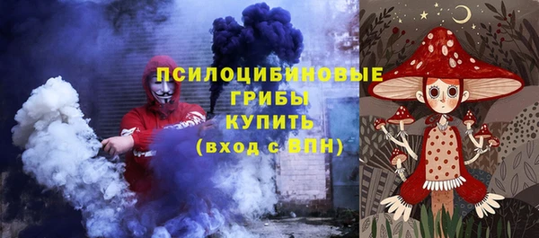 молекула духа Лагань