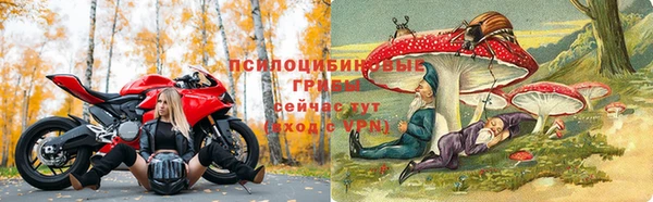 молекула духа Лагань