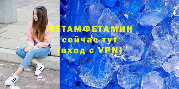 прущие грибы Ладушкин