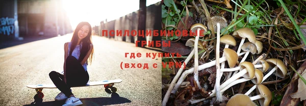 молекула духа Лагань