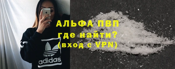прущие грибы Ладушкин