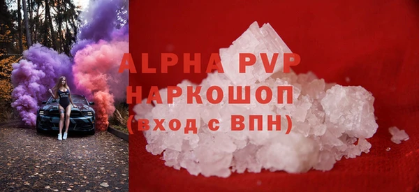 прущие грибы Ладушкин